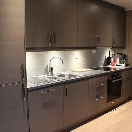 Geilotunet H224 - 6 Person アパート *